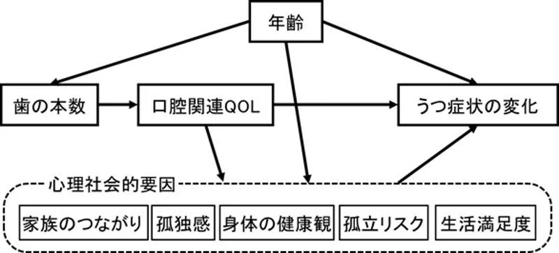 年齢、歯の本数、口腔関連QOL、心理社会的要因、うつ症状の変化の相互関係を示す概念図。心理社会的要因には家族のつながりや孤独感などが含まれる。