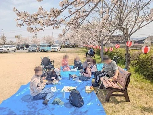 桜が満開の公園で、人々が青いシートを広げてピクニックを楽しんでいる様子