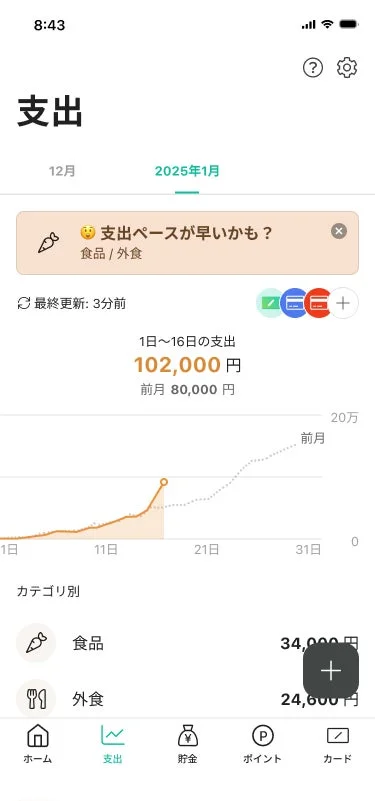 家計簿アプリの支出画面で、2025年1月1日〜16日の支出が102,000円と表示されています。
